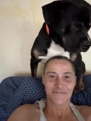 Lost Male Dog last seen Hey 55, Dunn, NC 28334