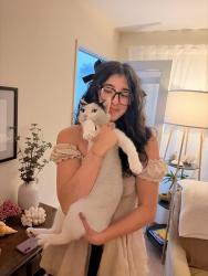 Lost Male Cat last seen Near park Mesa way, San Diego, CA 92111
