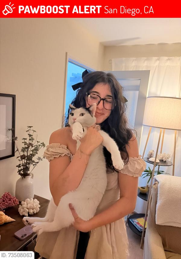 Lost Male Cat last seen Near park Mesa way, San Diego, CA 92111