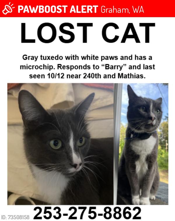 Lost Male Cat last seen 240th St E and Mathias, Graham, WA 98338