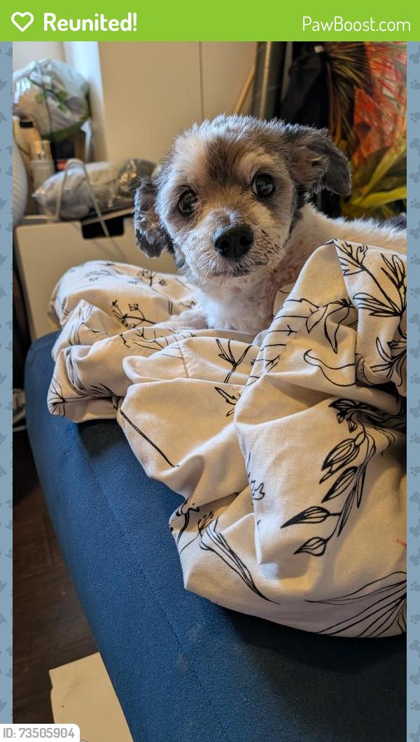 Reunited Male Dog last seen Middleton place & S Gramercy place, Los Angeles, CA 90062