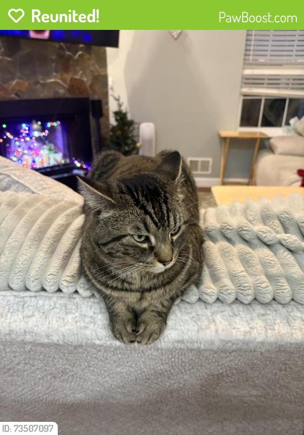 Reunited Male Cat last seen Bear tavern road, Ewing Township, NJ 08628