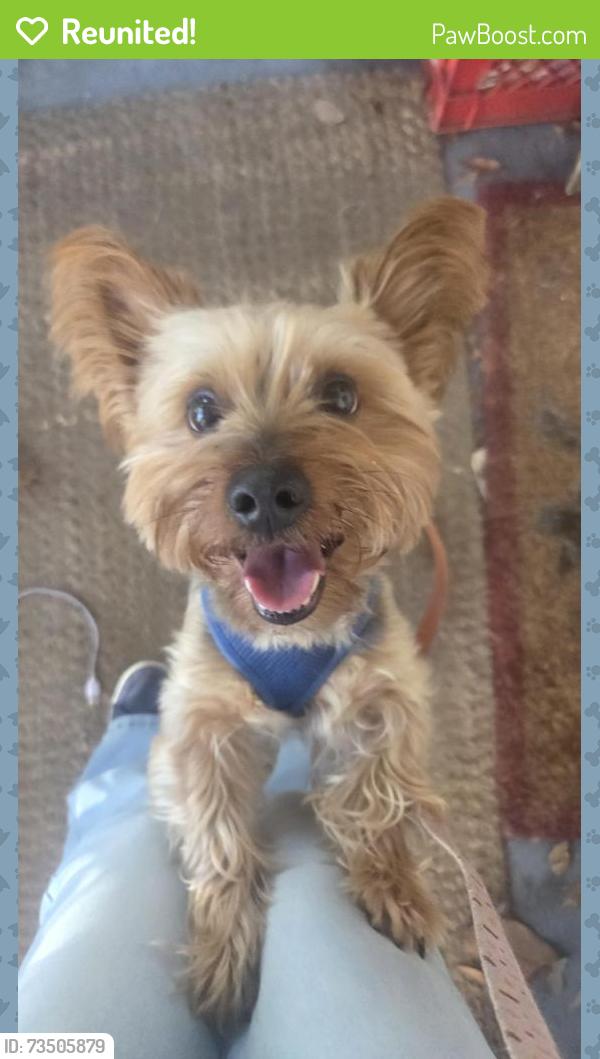 Reunited Male Dog last seen Reel, Norfolk, VA 23502