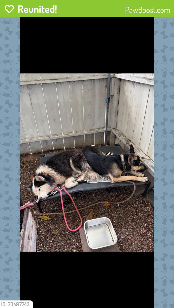 Reunited Male Dog last seen 39th and Superba St., San Diego, CA 92113