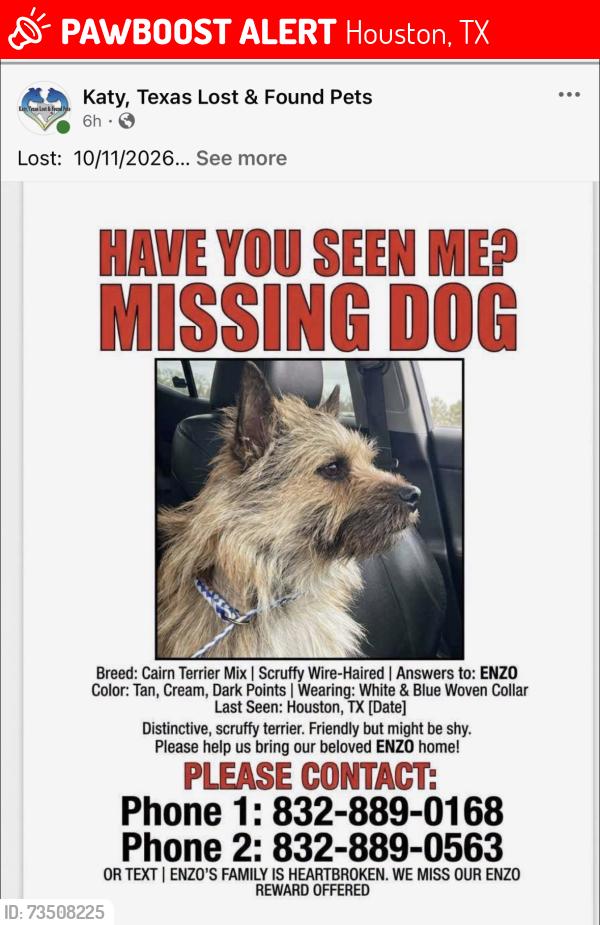 Lost Male Dog last seen Clay road and greenhouse, Houston, TX 77084