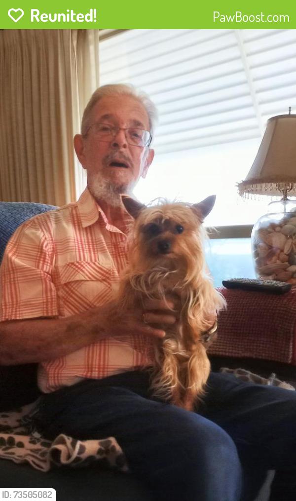 Reunited Male Dog last seen Golden Coach Manor, Hemet, CA 92545