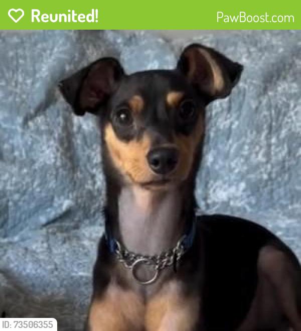 Reunited Male Dog last seen W Montrose Ave and N Wolcott AVe, Chicago, IL 60640