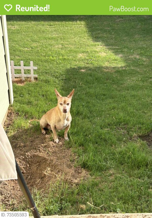 Reunited Male Dog last seen Delta Crest, Maxwell, TX 78656