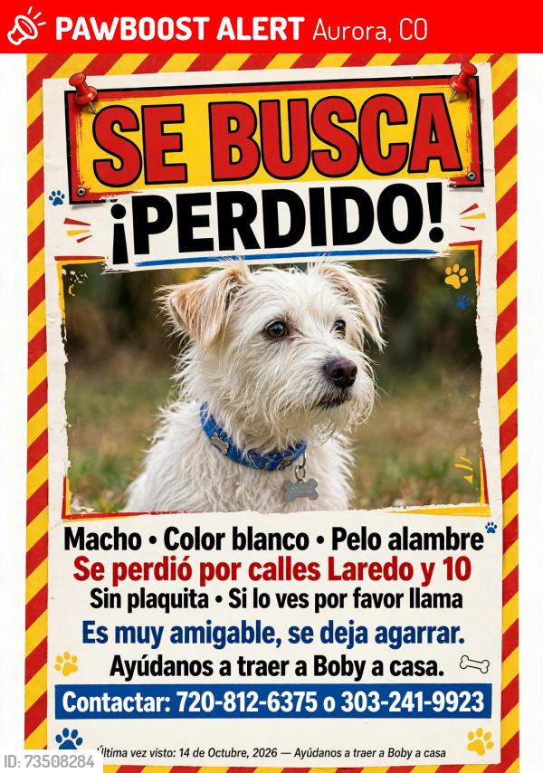 Lost Male Dog last seen 6th y colfax, Aurora, CO 80011