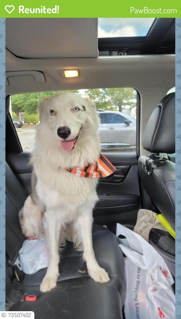 Reunited Male Dog last seen Old Fort Parkway & Autumn Town Way Murfreesboro TN, Murfreesboro, TN 37128