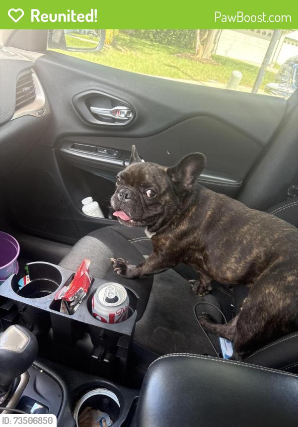 Reunited Male Dog last seen Wandering oaks dr s, Jacksonville, FL 32257