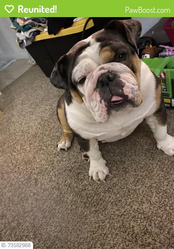 Reunited Female Dog last seen Near Firethorn Dr, Baton Rouge, LA 70819, USA, Baton Rouge, LA 70819