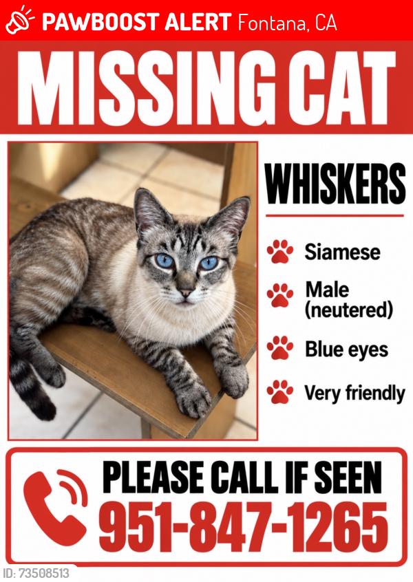 Lost Male Cat last seen Citrus and rosemary drive, Fontana, CA 92335