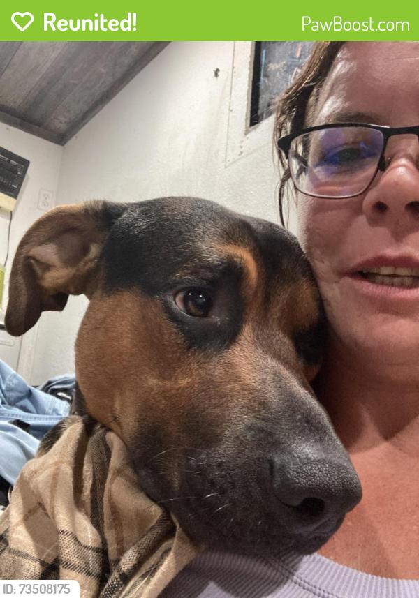 Reunited Male Dog last seen Howard and metric, Austin, TX 78753