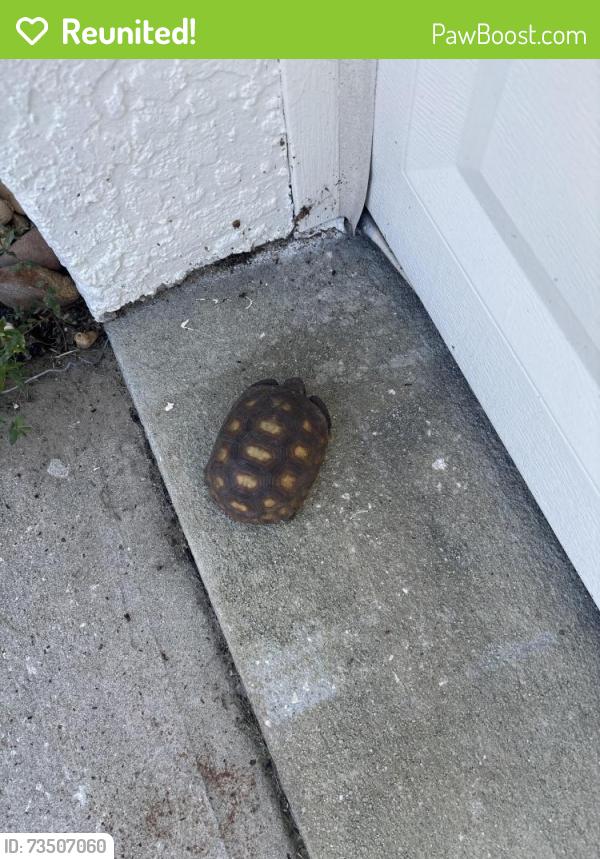 Reunited Unknown Other last seen Nightwalker, Spring Hill, FL 34613