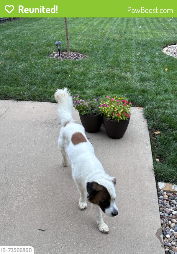 Reunited Unknown Dog last seen 60th Terr/Woodland, Shawnee, KS 66218
