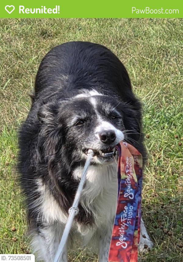 Reunited Female Dog last seen Franklin, Prior Lake, MN 55372