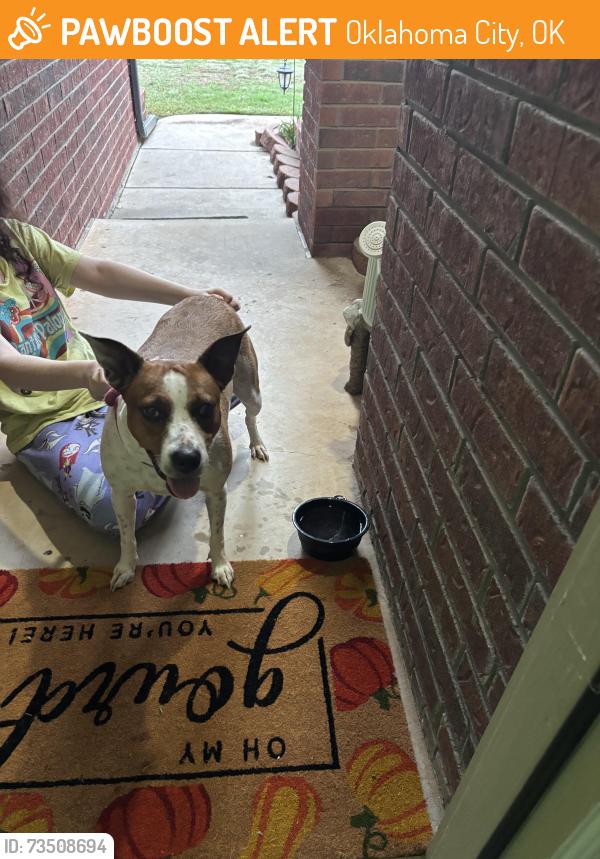 Found/Stray Female Dog last seen Reno and Czech Hall, Oklahoma City, OK 73099