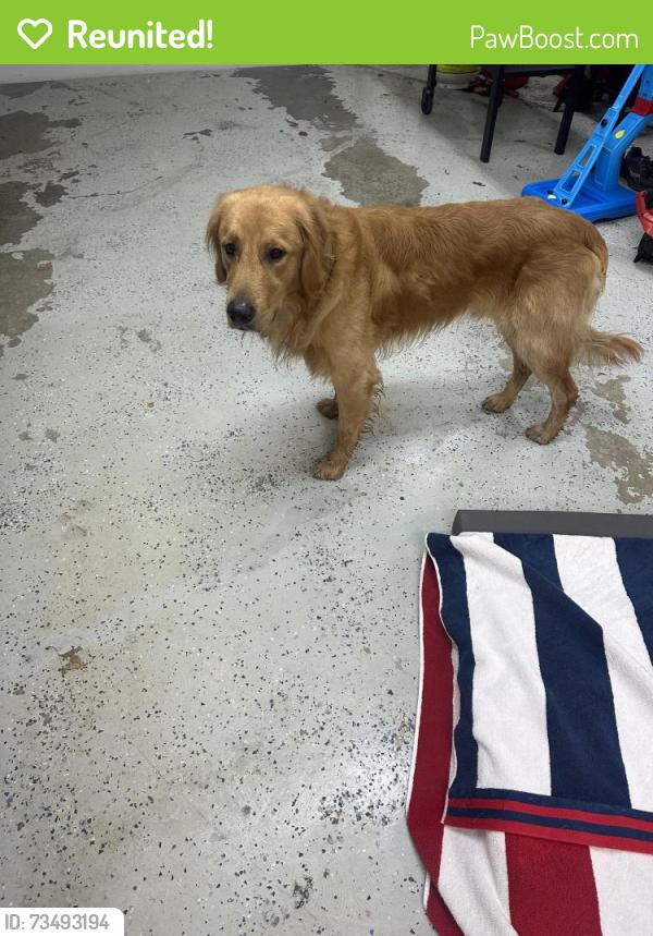 Reunited Male Dog last seen Kansas Ave and 86th st, Kansas City, KS 66111