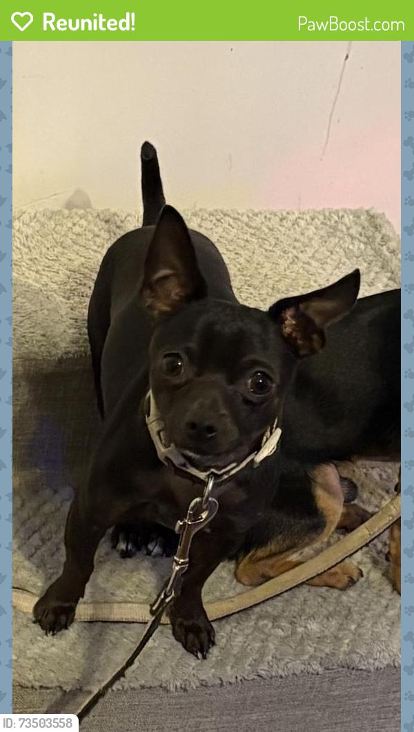 Reunited Male Dog last seen Near W Reno Ave, Oklahoma City, OK 73127, USA, Oklahoma City, OK 73127