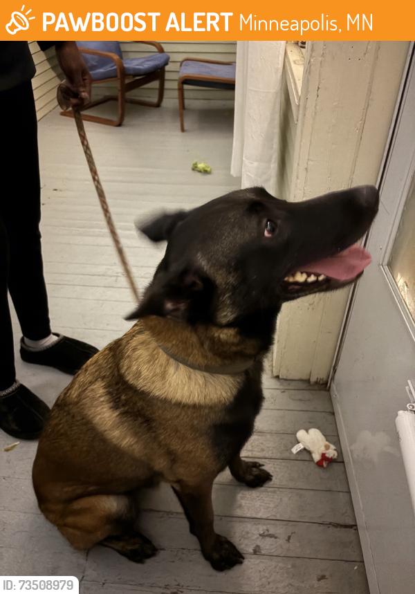 Found/Stray Male Dog last seen 11th ave and 27th Ave, Minneapolis, MN 55406