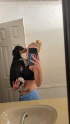 Lost Male Dog last seen skyland dr, marietta, Slater-Marietta, SC 29661