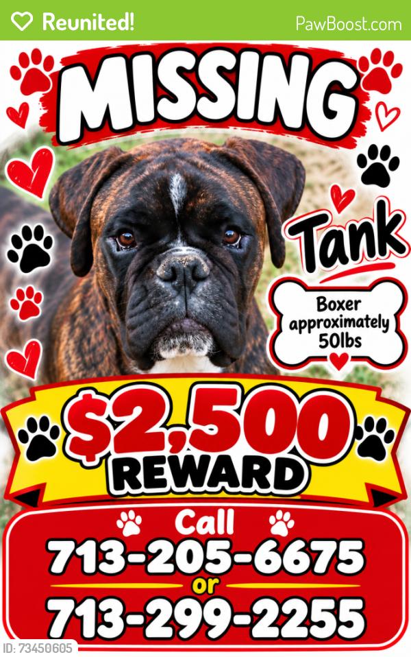 Reunited Male Dog last seen Near Brompton Place Drive, Houston, TX 77083