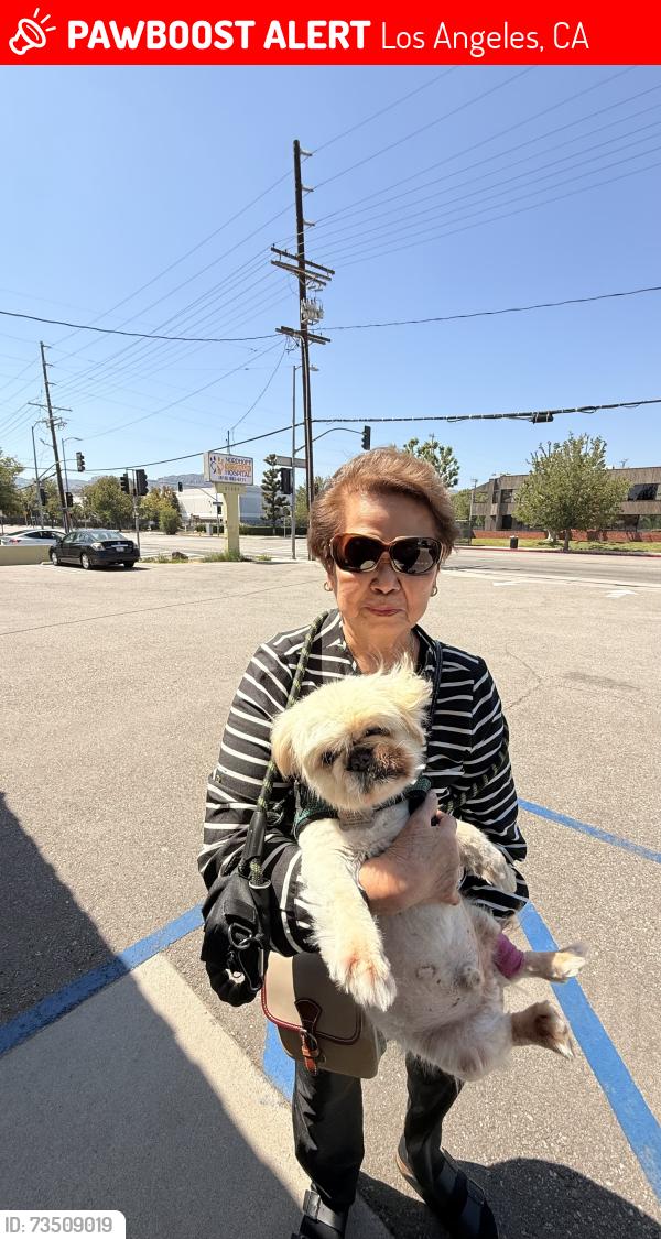 Lost Male Dog last seen Oakdale, Los Angeles, CA 91311