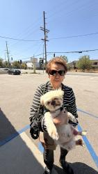 Lost Male Dog last seen Oakdale, Los Angeles, CA 91311