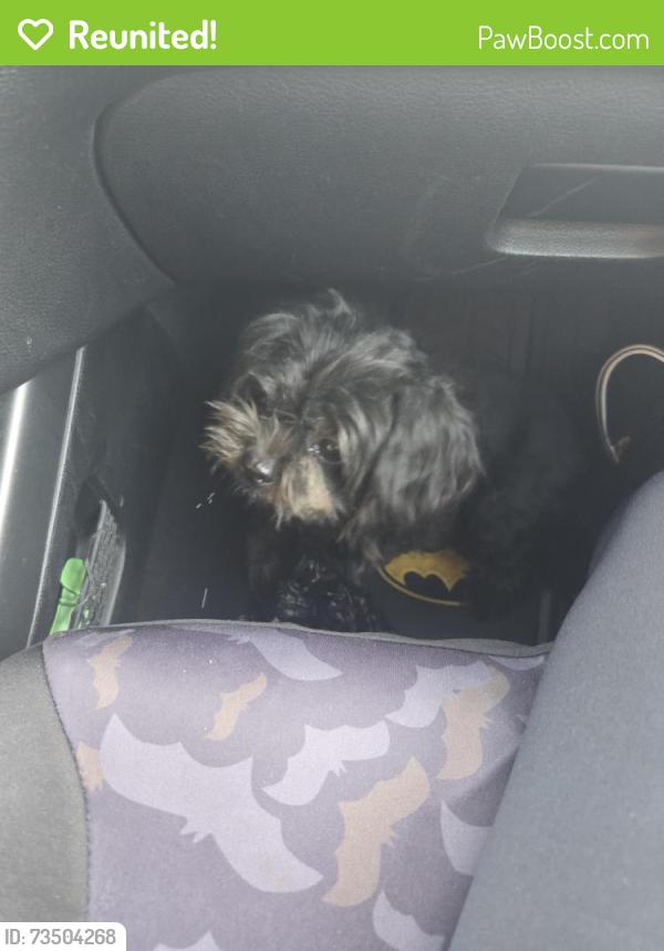 Reunited Unknown Dog last seen Fairview and highland, Santa Ana, CA 92704