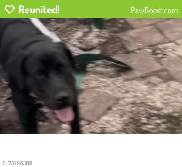 Reunited Female Dog last seen 135st Dixie hwy, North Miami, FL 33161