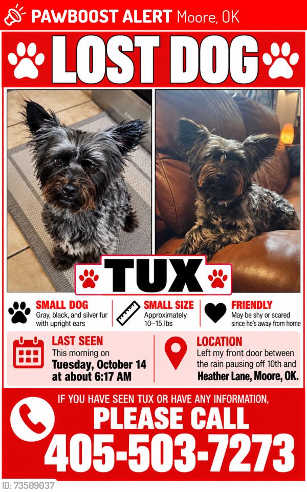 Lost Male Dog last seen 10th and Heather Moore OK, Moore, OK 73160