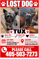 Lost Male Dog last seen 10th and Heather Moore OK, Moore, OK 73160