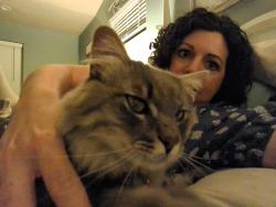 Reunited Male Cat last seen Overland/Meridian Rd, Meridian, ID 83642
