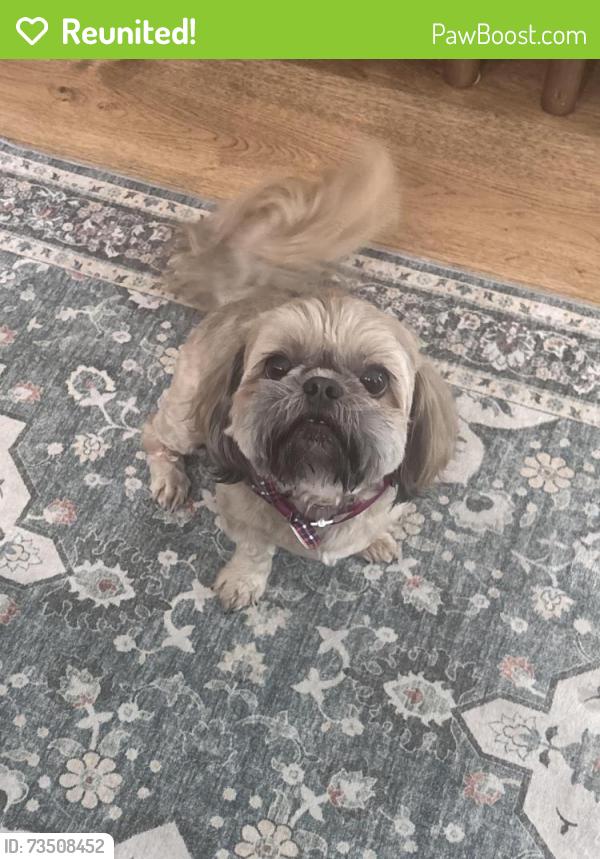 Reunited Male Dog last seen Got out between fence in our yard, Panama City, FL 32405