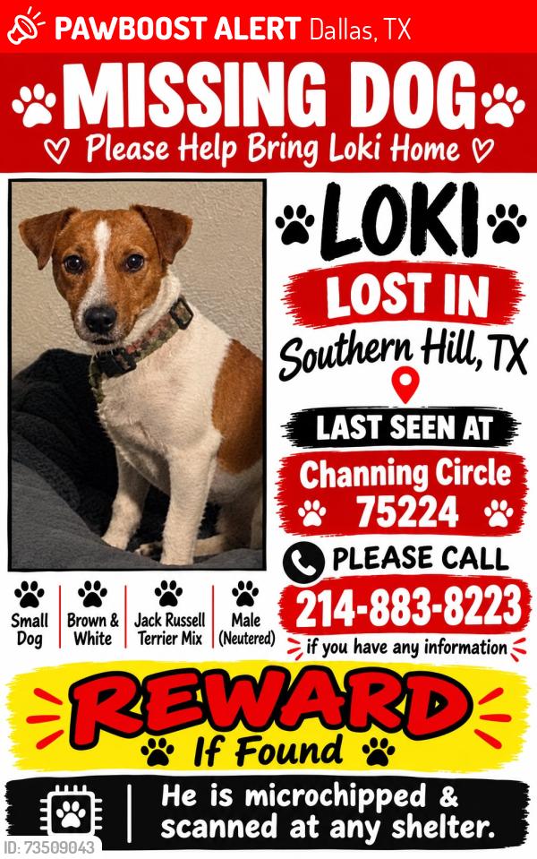 Lost Male Dog last seen Brookwood, Polk, Ledbetter, Dallas, TX 75224