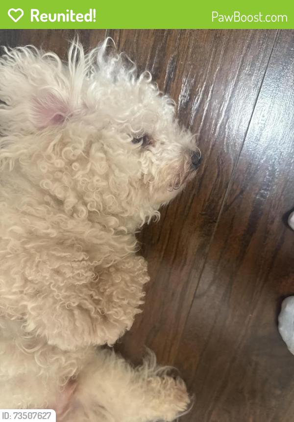 Reunited Male Dog last seen Farragut Court, Manassas, VA 20109