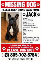 Lost Male Dog last seen Pleasant Valley, Port Hueneme, CA 93041
