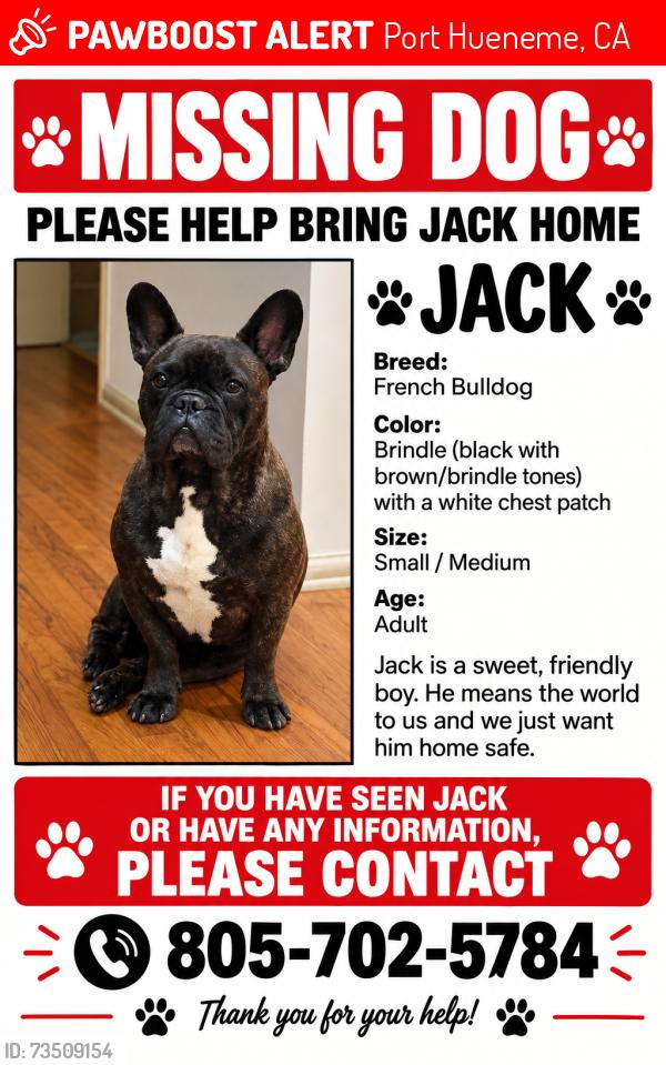 Lost Male Dog last seen Pleasant Valley, Port Hueneme, CA 93041