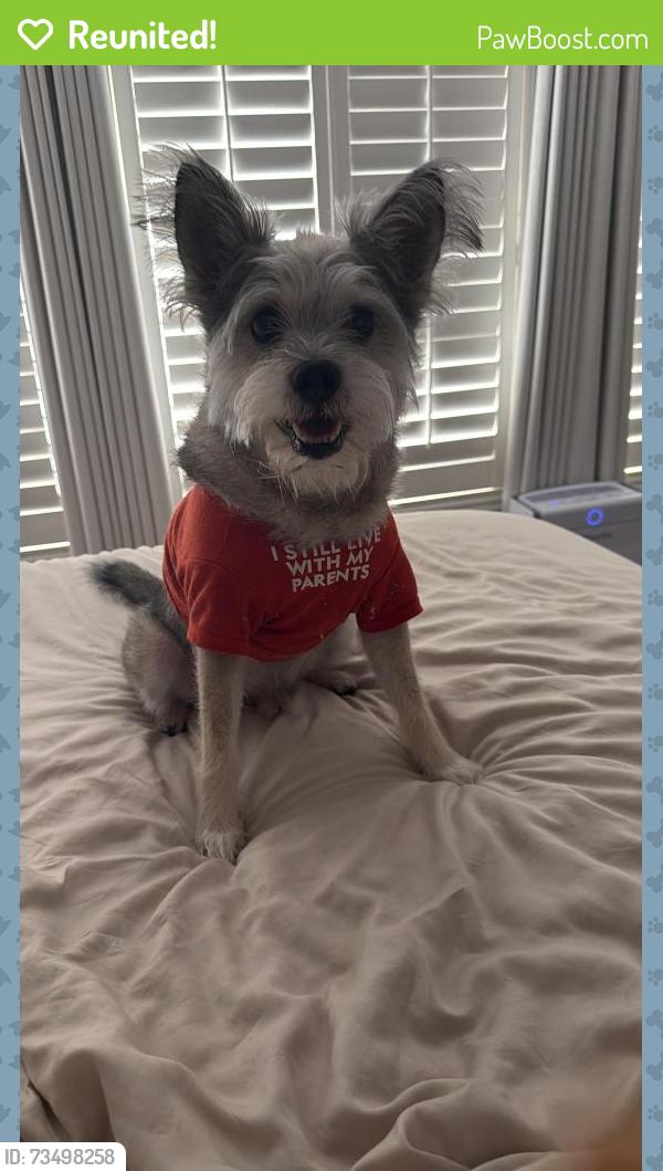 Reunited Male Dog last seen Atherton & Shenandoa, Corona, CA 92882