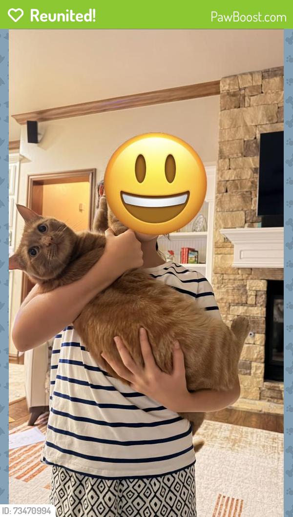 Reunited Female Cat last seen At home, Oklahoma County, OK 73025