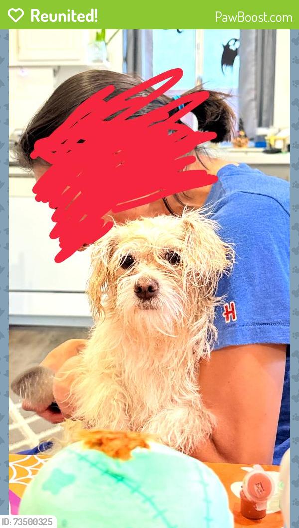 Reunited Female Dog last seen starboard and nantucket, San Jacinto, CA 92583