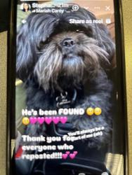 Reunited Male Dog last seen Indian Heacock off myers, Moreno Valley, CA 92553