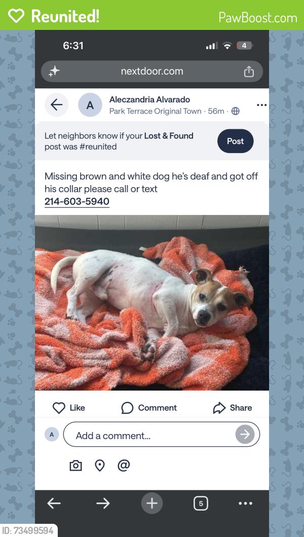 Reunited Male Dog last seen Donald and random, Carrollton, TX 75006
