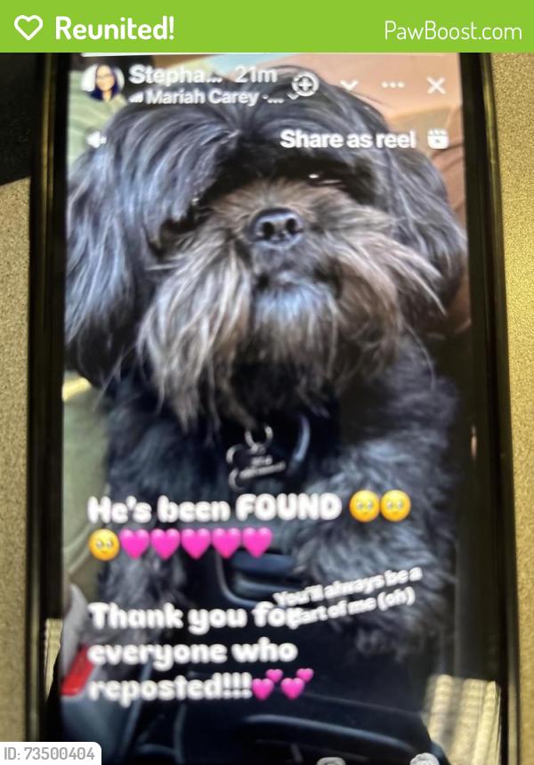 Reunited Male Dog last seen Indian Heacock off myers, Moreno Valley, CA 92553