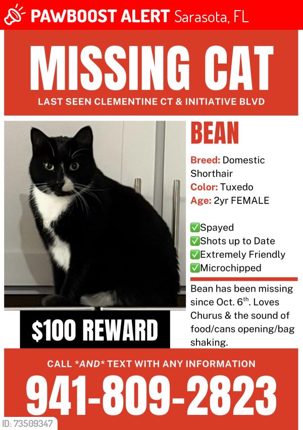 Lost Female Cat last seen Clementine Ct & Initiative BLVD, Citria, Sarasota, FL 34240