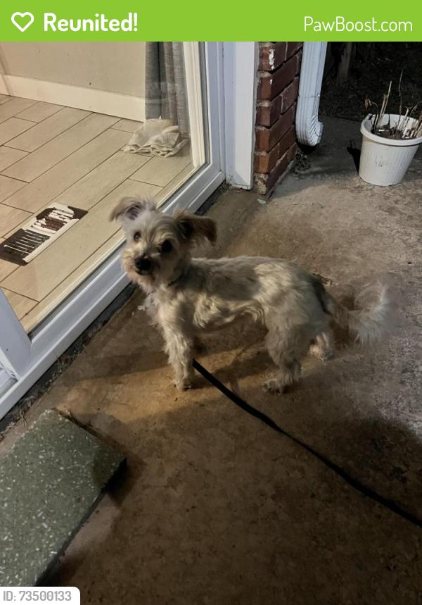 Reunited Female Dog last seen Hefner/greyston, Nichols Hills, OK 73120