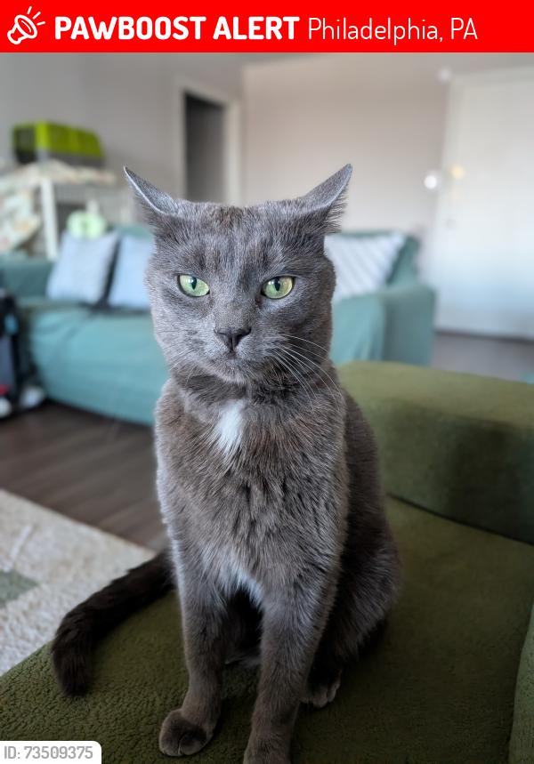 Lost Male Cat last seen Alden Park apmt 