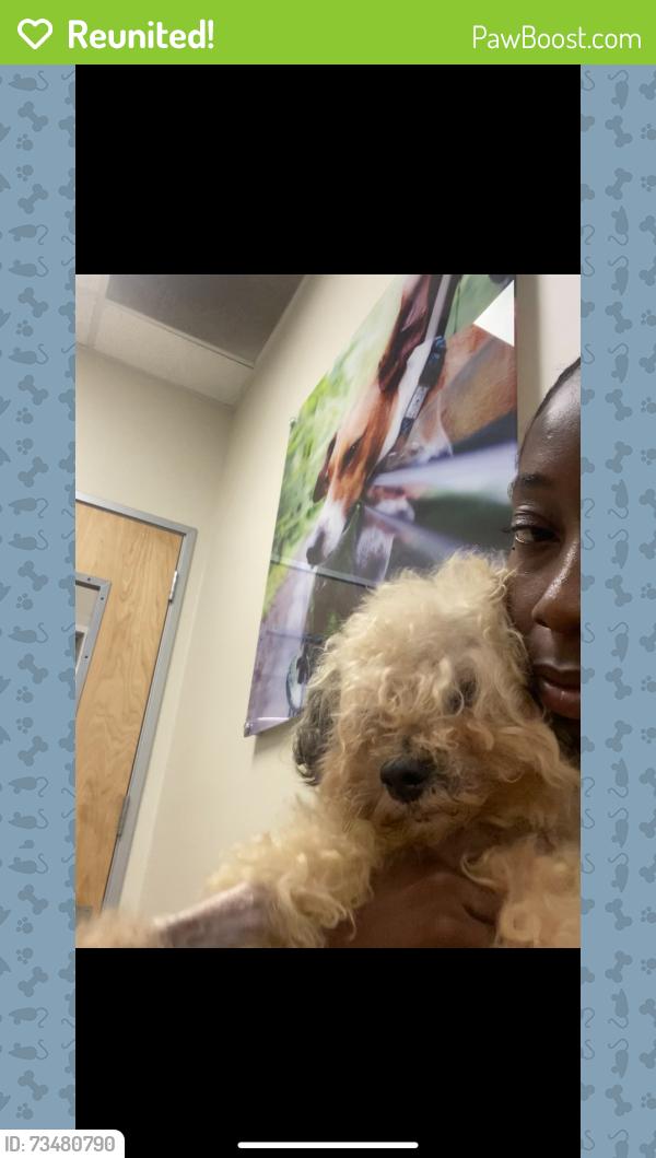Reunited Male Dog last seen Fullerton pooch park, Fullerton, CA 92833