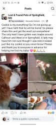 Lost Male Dog last seen Jefferson St and Seminole, Springfield, MO 65806
